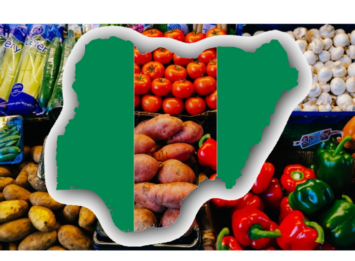 OIC Selects Nigeria as Food Storage Hub
