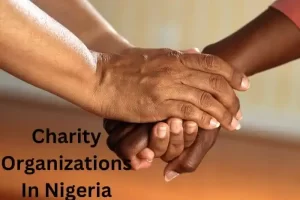 Charity-Organizations-In-Nigeria