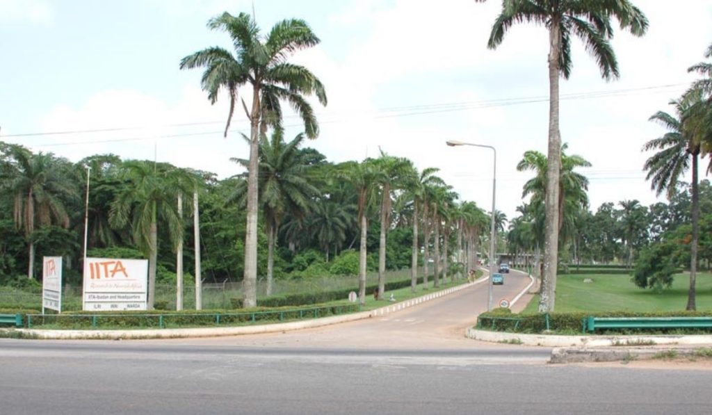 IITA Environment landscape