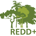 Coalition for Rainforest Nations' Responds to IETA's false claims about UNFCCC REDD+