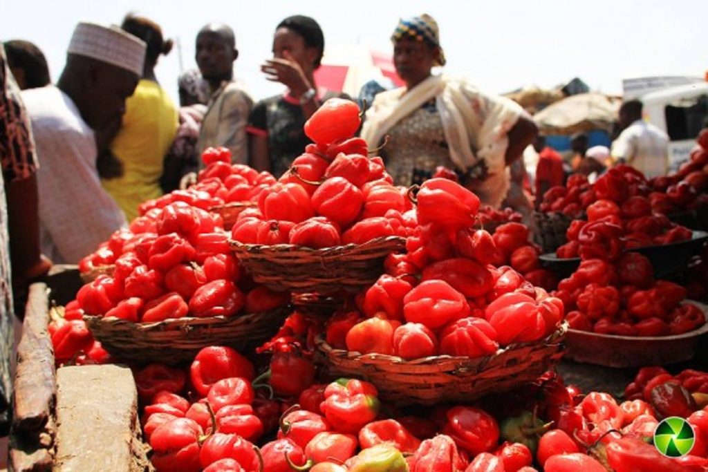 Firm Installs Off-grid Cooling System at Lagos Market