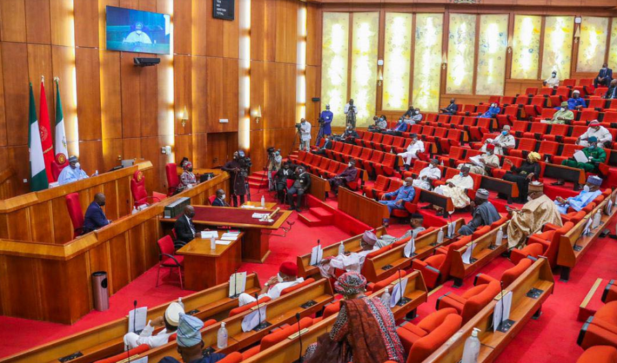 Senate Passes Nigeria Peace Corps bill