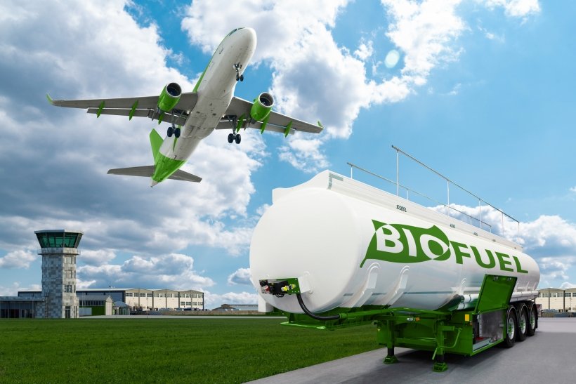 MIT’s Biomass Breakthrough - 100% Sustainable Jet Fuel From Plant Waste