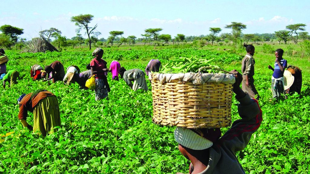 Heifer International Set to Empower 125,000 Smallholder Farmers