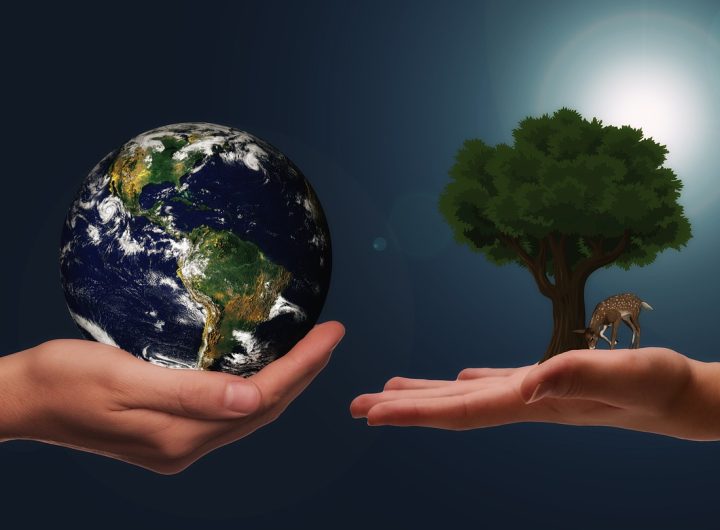 Corporate Social Responsibility: How it Pays to Put the Planet and its People First