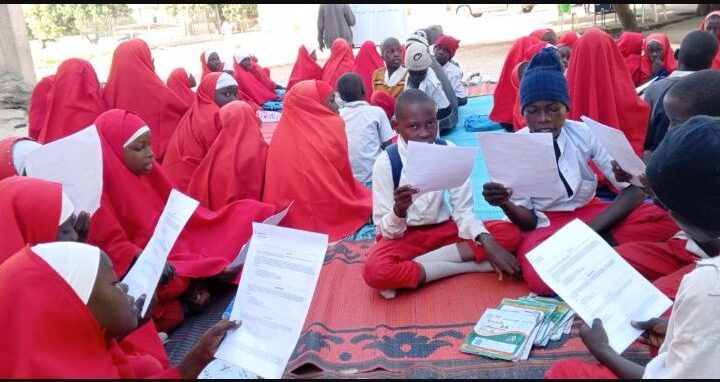 UNICEF set to improve learning of 270,500 children in Borno