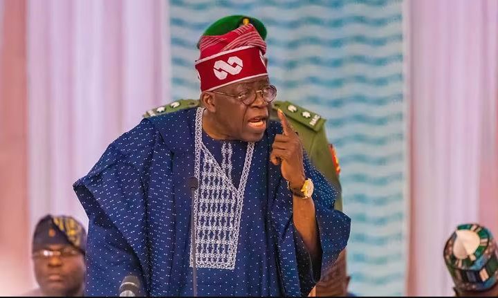 President Tinubu dismisses VP’s proposed food plans