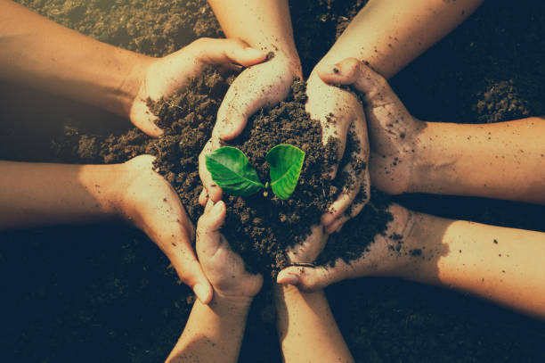 Sustainability: TECH Mahindra partners MTN to plant trees in Lagos