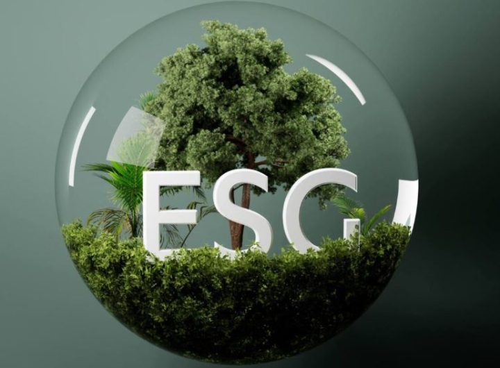 Crucial ESG role in Nigerian business growth