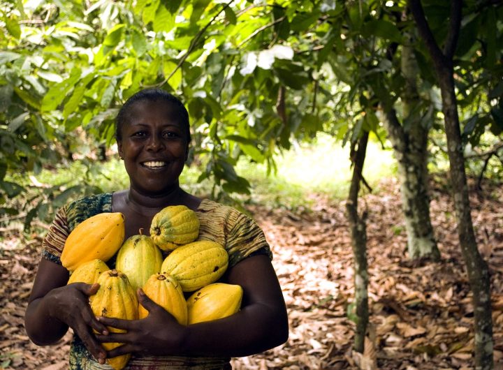 Anchor Borrowers Scheme empowers 40,000 agripreneurs in Ogun – Gov. Abiodun hints