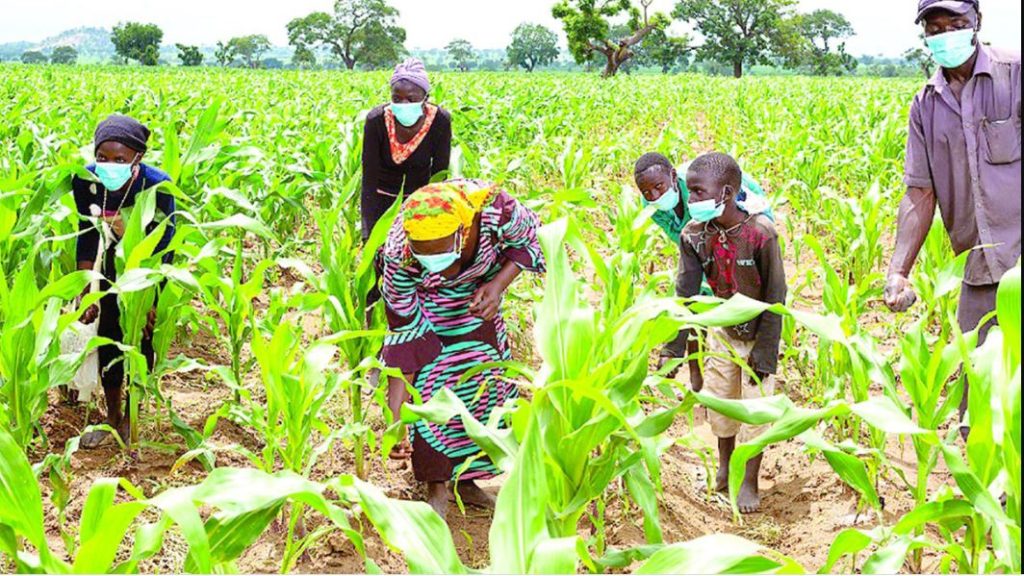 Group calls on FG to subsidise farming implements for farmers