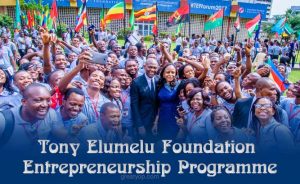 Tony-Elumelu-Foundation-Entrepreneurship-Programme-300x184