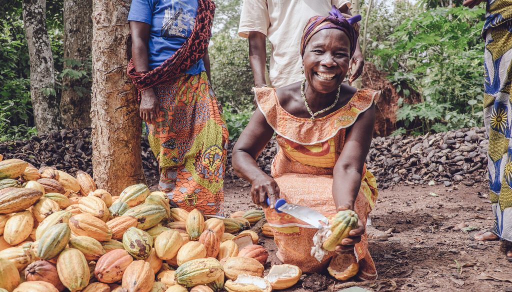 EXCELLENT! Report Shows Yields and Incomes of Cocoa-Farming Families Engaged in Nestlé's Program are Improving.