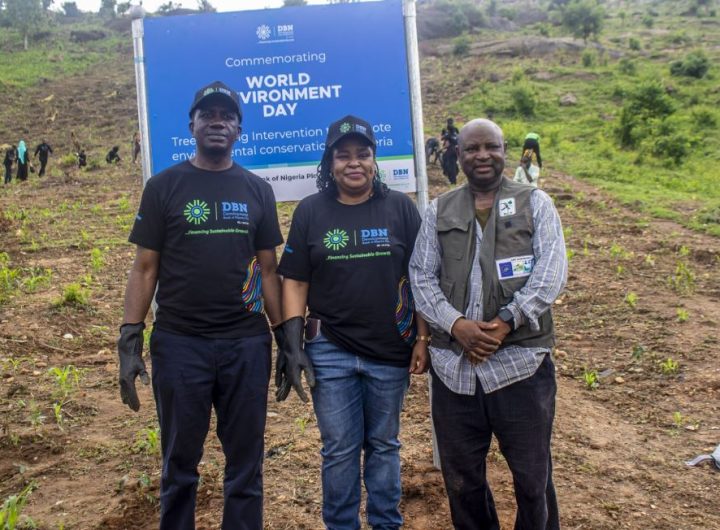 DBN's Tree Planting Initiative A Model of CSR and Sustainable Development