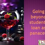 Going beyond students loan as panacea