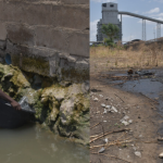 Dangote Cement How environmental crisis hit Benue communities