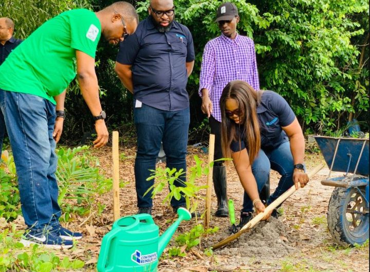 NCF partners Continental Reinsurance to plant 2000 trees