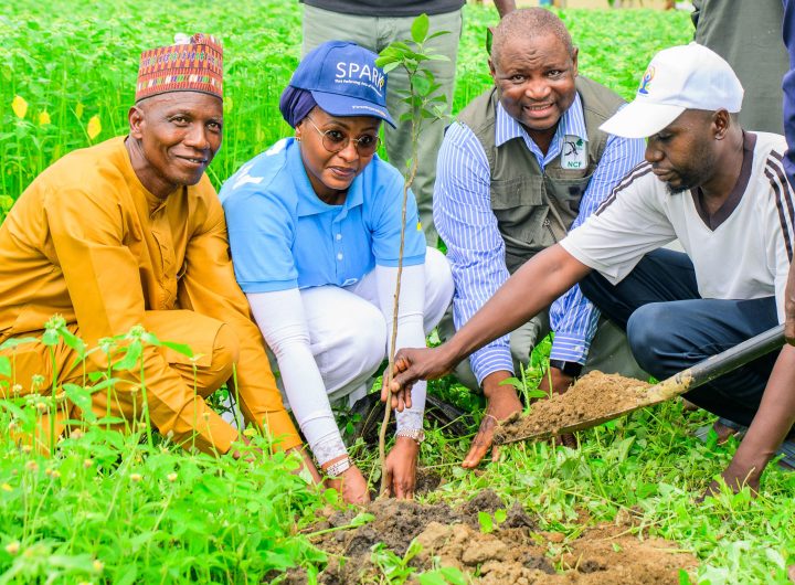 FIRSTBANK, NCF EXTEND TREE PLANTING TO FCT