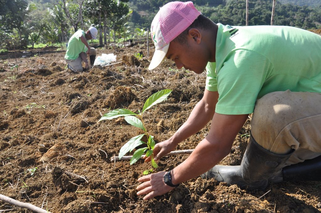 Save Nutrients from being Wasted- Stakeholders Appeal to Nasarawa State Govt. on Tree Planting Intervention against Climate Change and for Food Security