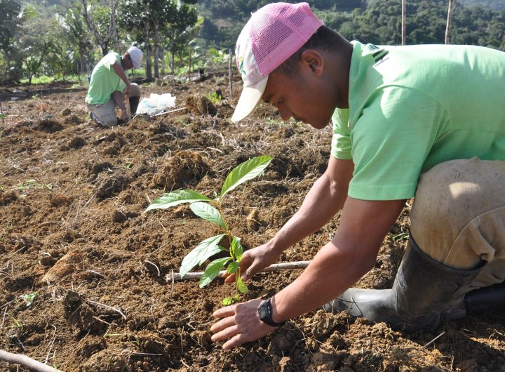 Save Nutrients from being Wasted- Stakeholders Appeal to Nasarawa State Govt. on Tree Planting Intervention against Climate Change and for Food Security