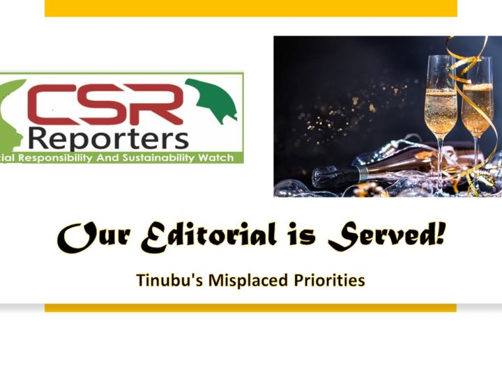 Tinubu's Misplaced Priorities