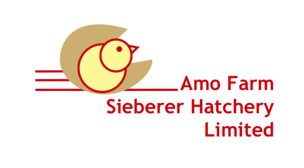 Amo Farm Sieberer Hatchery Celebrates Nigeria's 64th Independence Anniversary