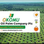 Okomu oil firm partners foundation to foster peace with host communities