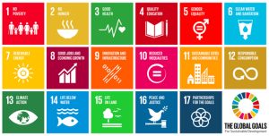 Driving Sustainable Growth - How CSR Fuels the Achievement of SDGs in Africa