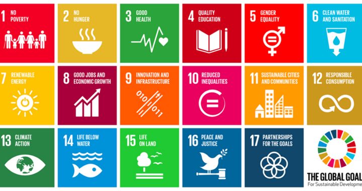 Driving Sustainable Growth - How CSR Fuels the Achievement of SDGs in Africa