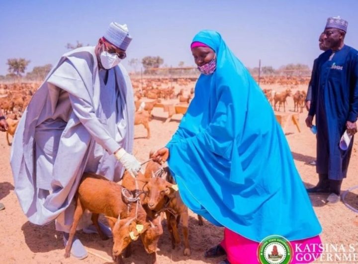 Katsina State governor taking a photo holding three goats with a woman