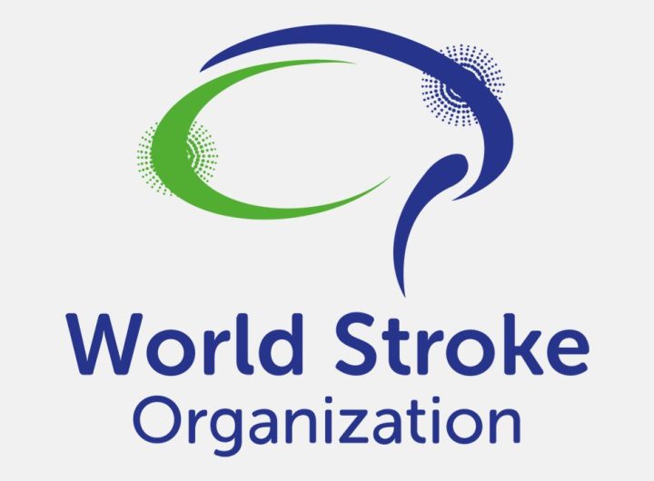 World Stroke Organisation (WSO) logo