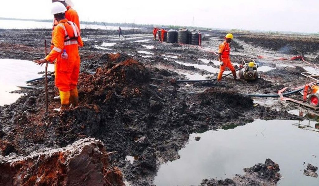 Environmentalists cleaning up ogoni environment