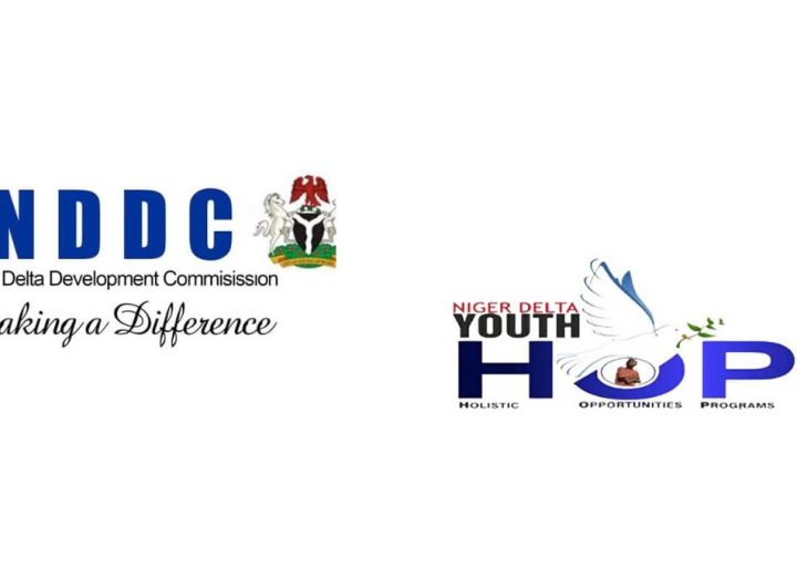 NDDC logo and Niger Delta Youths logo