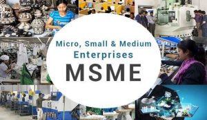 Micro, Small, Medium Enterprises