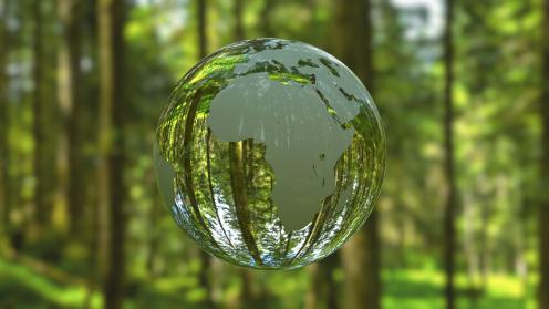 A bubble with Africa map imprinted on it, while a forest of green trees is in the background representing CSR and sustainability
