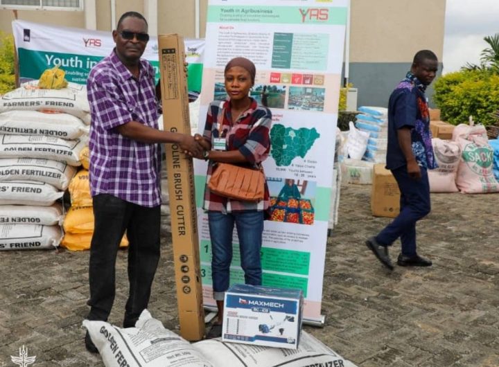 Pair photo for the Youth in Agribusiness Project in Oyo state
