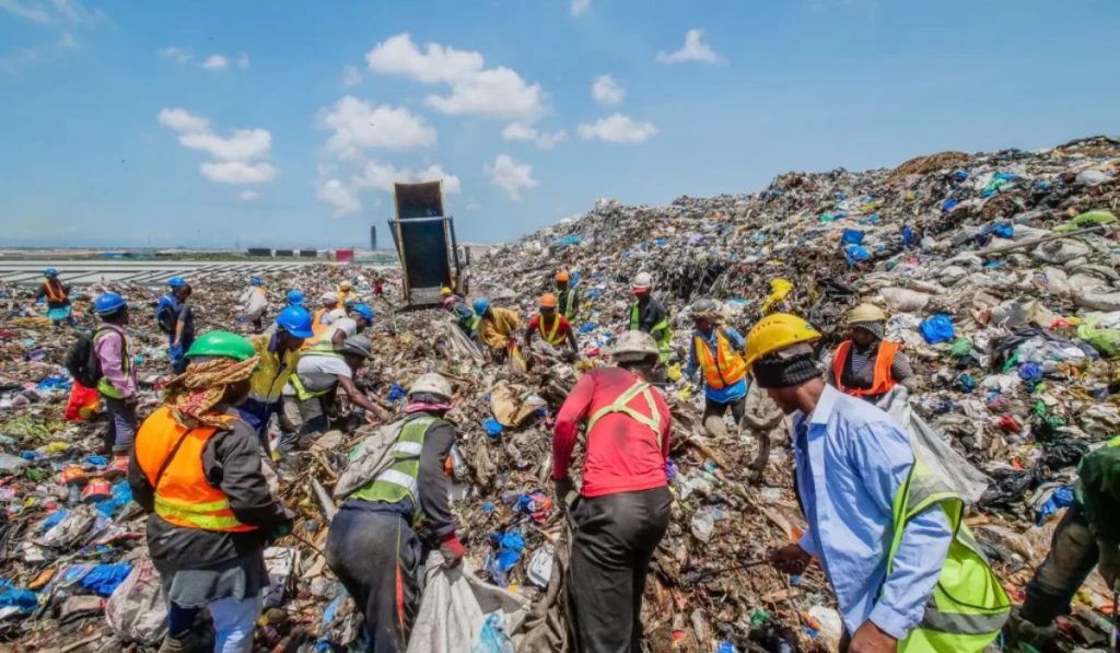 Waste pickers and waste loads