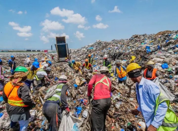 Waste pickers and waste loads