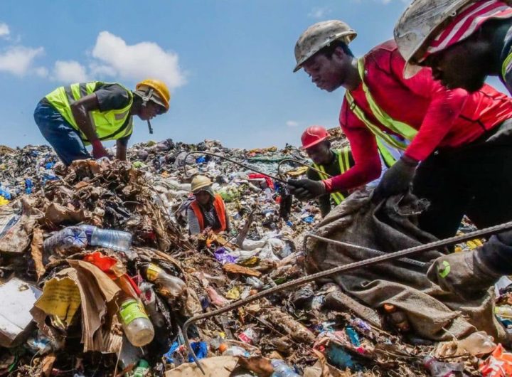 Waste Pickers picking waste products and promoting sustainability