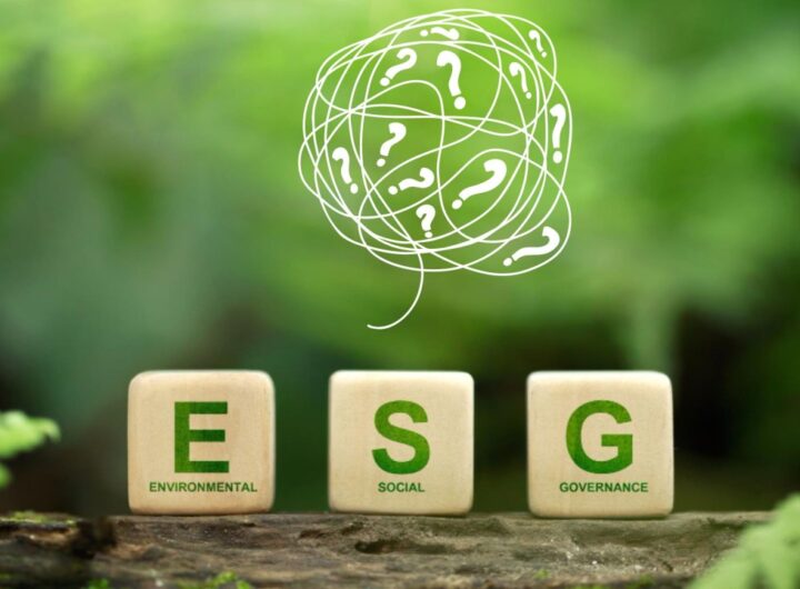 Challenges in ESG Risk Standardization: Why Unified Metrics Are Critical for Corporate Accountability