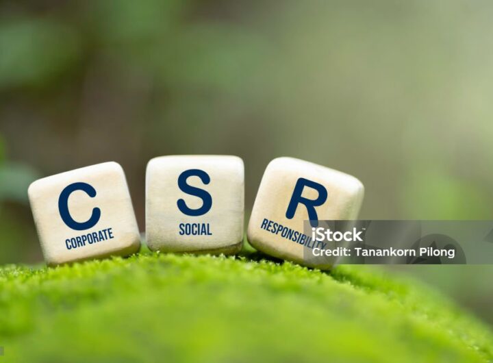 The Corporate Social Responsibility Mask