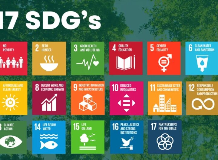 Connecting your CSR Dots with the SDGs