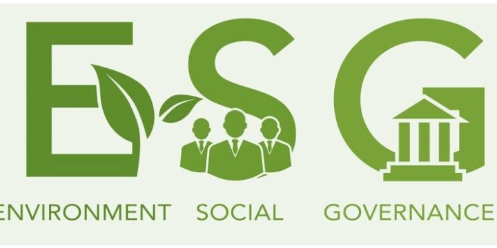 Mainstreaming ESG for Nigerian Businesses