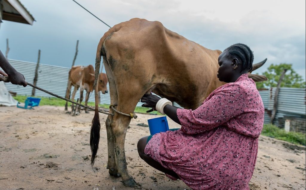 Pastoralism: Inside Africa's Hidden Powerhouse