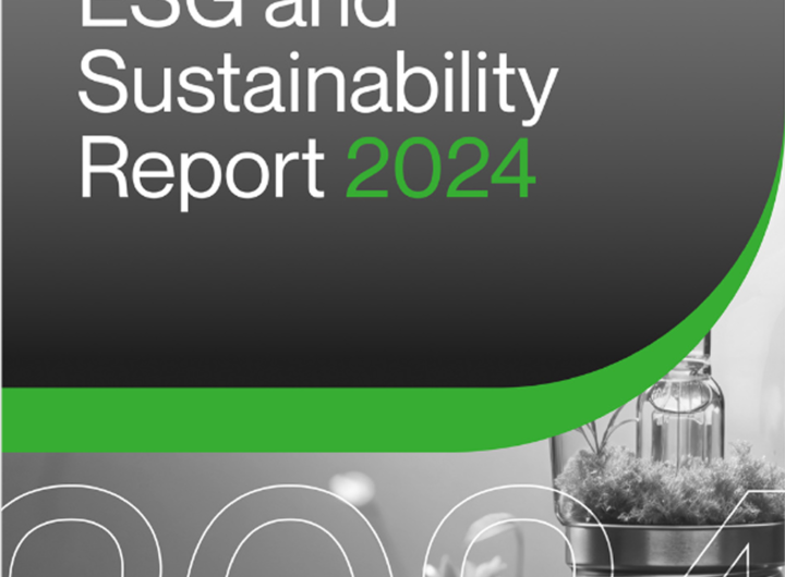10 Must-Do Steps Before Publishing Your Sustainability Report
