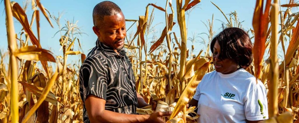 High hopes for African Development Fund 17th replenishment meeting to mobilise investment for Africa's development needs