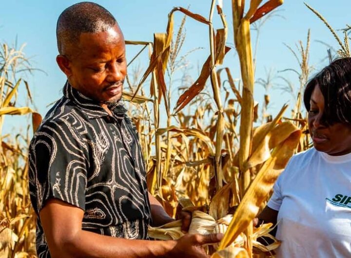 High hopes for African Development Fund 17th replenishment meeting to mobilise investment for Africa's development needs