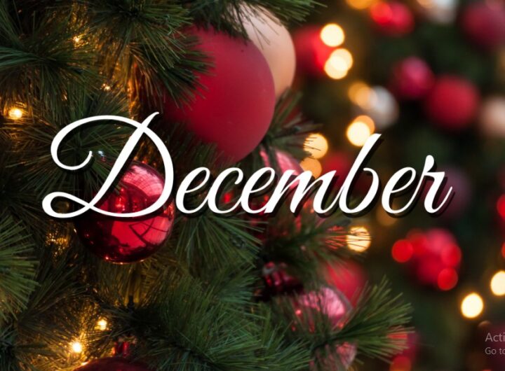 The CSR Director’s Guide to a Stress-Free December