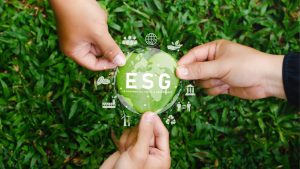 Africa’s ESG Implementation Challenge: Why Commitment Is Easier Than Execution