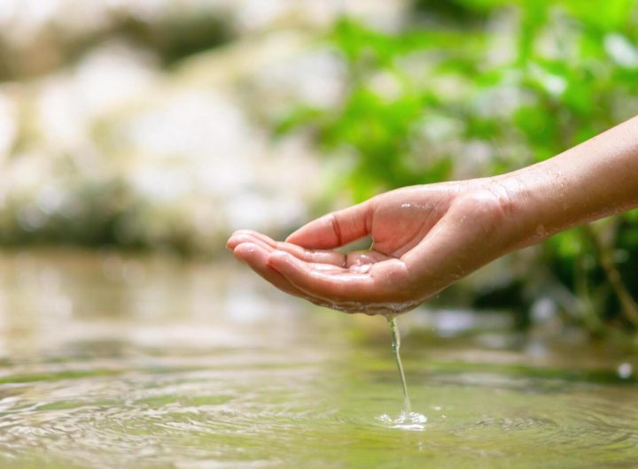 Alliance for Water Stewardship unveils upgraded global water standard